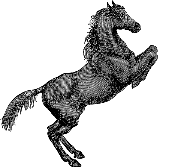 天天盈球